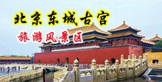 肏丝袜脚淫中国北京-东城古宫旅游风景区